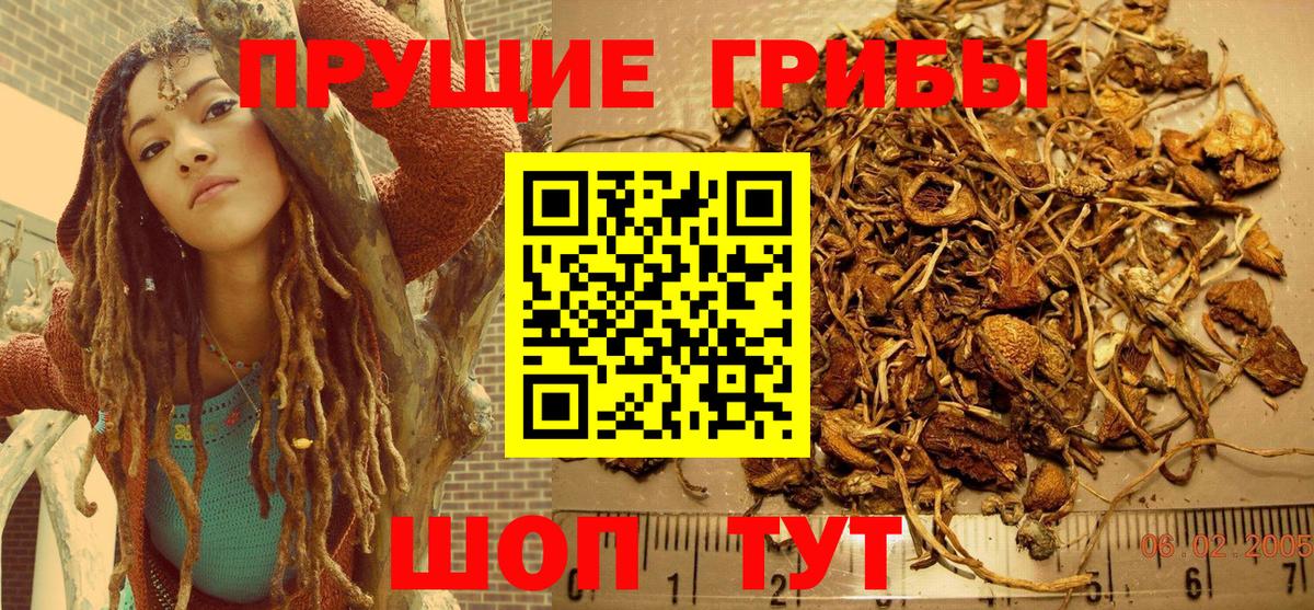 Псилоцибиновые грибы MAGIC MUSHROOMS Полевской